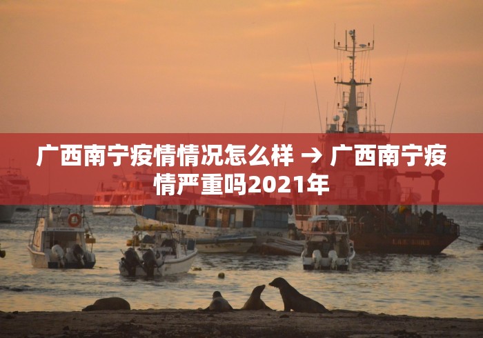 广西南宁疫情情况怎么样 → 广西南宁疫情严重吗2021年