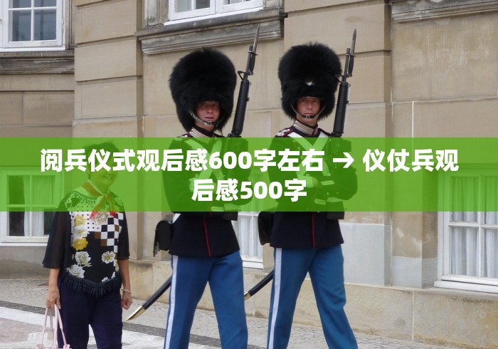 阅兵仪式观后感600字左右 → 仪仗兵观后感500字