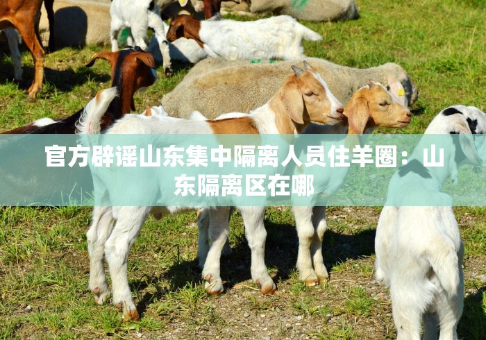 官方辟谣山东集中隔离人员住羊圈：山东隔离区在哪