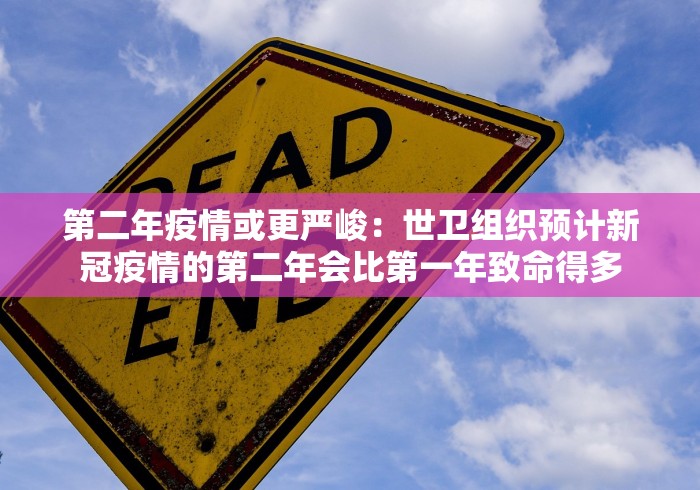 第二年疫情或更严峻：世卫组织预计新冠疫情的第二年会比第一年致命得多