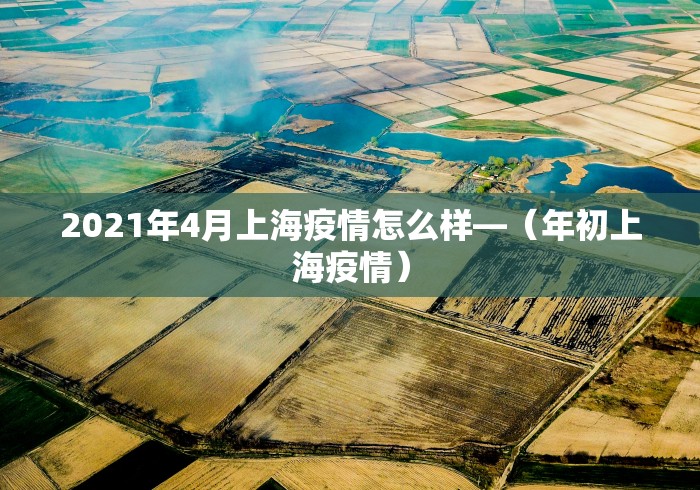 2021年4月上海疫情怎么样—（年初上海疫情）