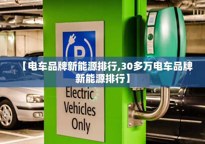 【电车品牌新能源排行,30多万电车品牌新能源排行】