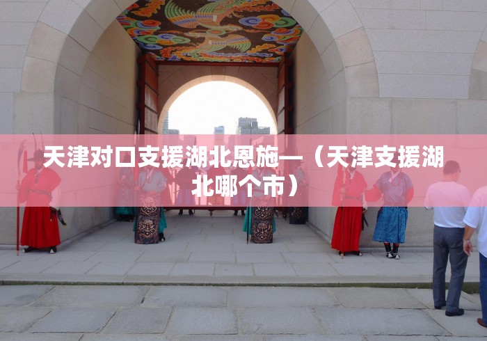 天津对口支援湖北恩施—（天津支援湖北哪个市）