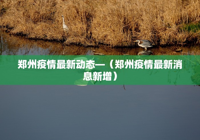 郑州疫情最新动态—（郑州疫情最新消息新增）
