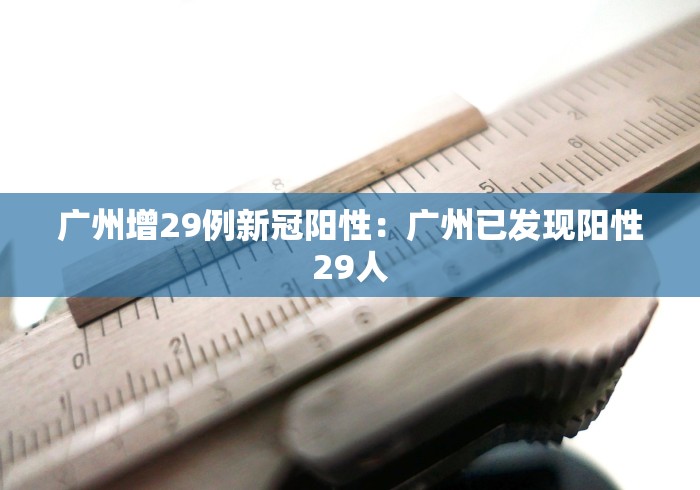 广州增29例新冠阳性：广州已发现阳性29人