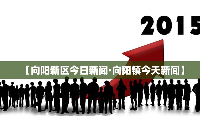 【向阳新区今日新闻·向阳镇今天新闻】