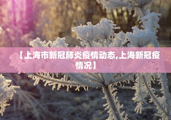 【上海市新冠肺炎疫情动态,上海新冠疫情况】