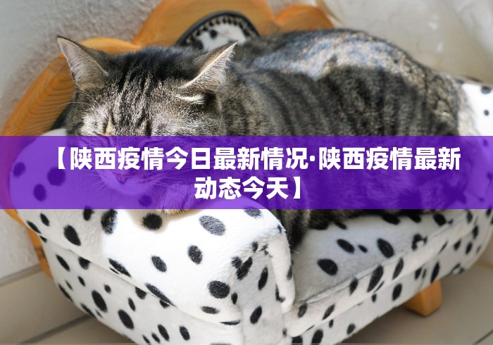 【陕西疫情今日最新情况·陕西疫情最新动态今天】