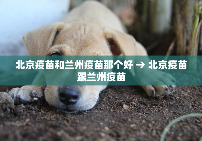 北京疫苗和兰州疫苗那个好 → 北京疫苗跟兰州疫苗