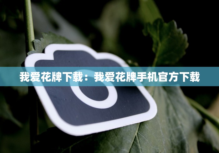 我爱花牌下载：我爱花牌手机官方下载
