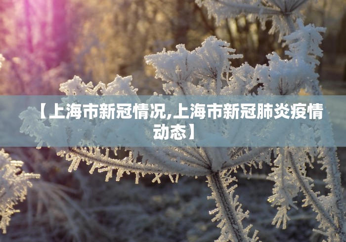 【上海市新冠情况,上海市新冠肺炎疫情动态】