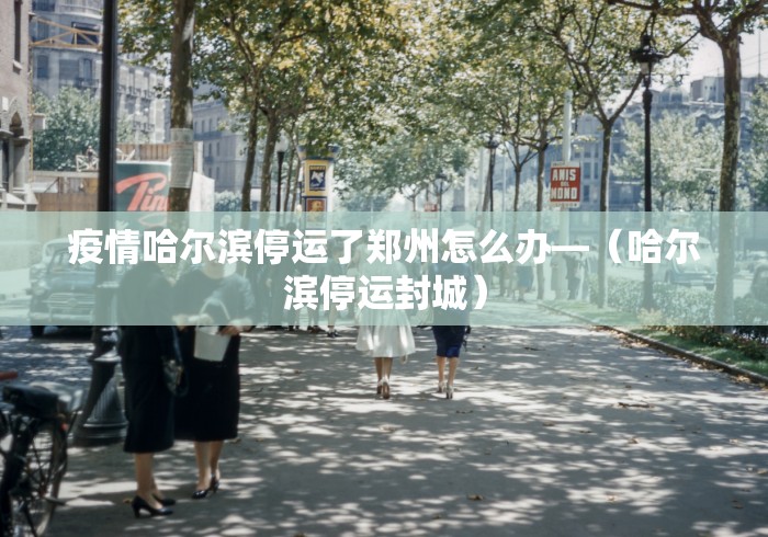 疫情哈尔滨停运了郑州怎么办—（哈尔滨停运封城）