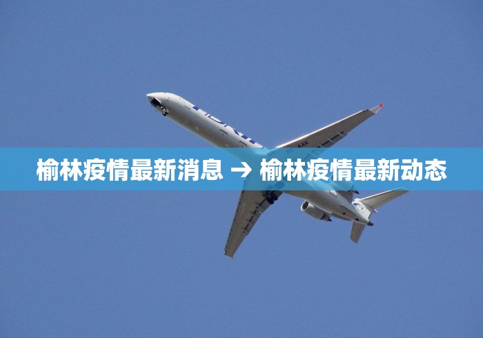 榆林疫情最新消息 → 榆林疫情最新动态