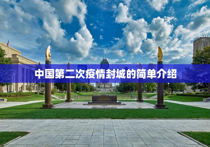 中国第二次疫情封城的简单介绍