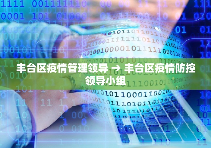 丰台区疫情管理领导 → 丰台区疫情防控领导小组
