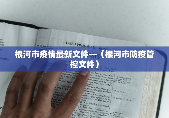 根河市疫情最新文件—（根河市防疫管控文件）