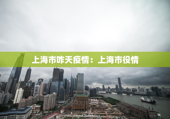 上海市咋天疫情：上海市役情