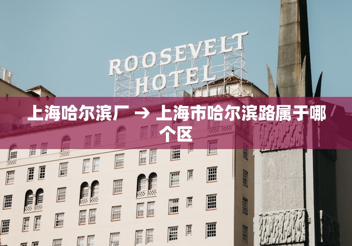 上海哈尔滨厂 → 上海市哈尔滨路属于哪个区