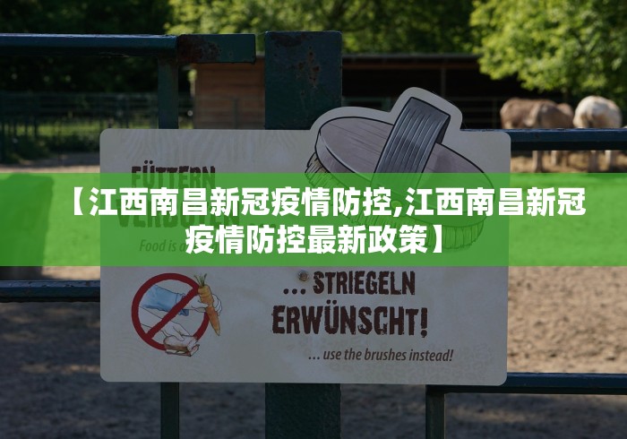 【江西南昌新冠疫情防控,江西南昌新冠疫情防控最新政策】