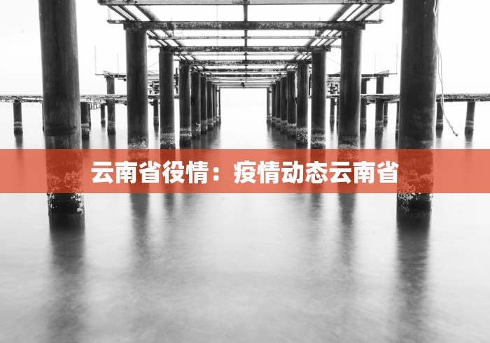 云南省役情：疫情动态云南省