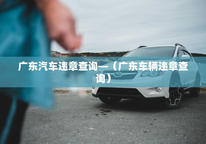 广东汽车违章查询—（广东车辆违章查询）