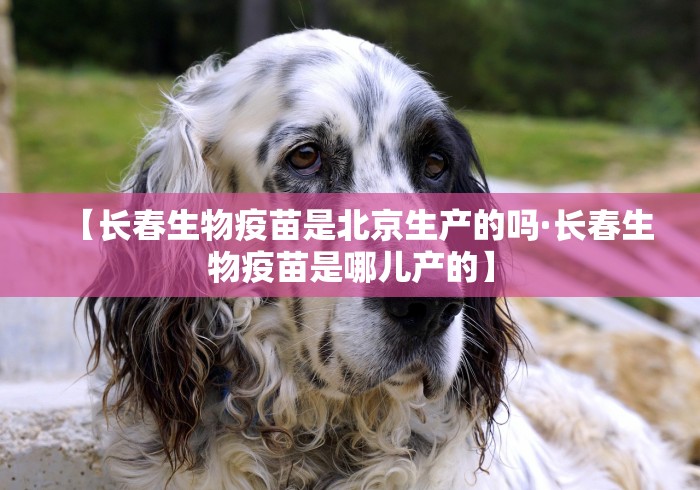 【长春生物疫苗是北京生产的吗·长春生物疫苗是哪儿产的】