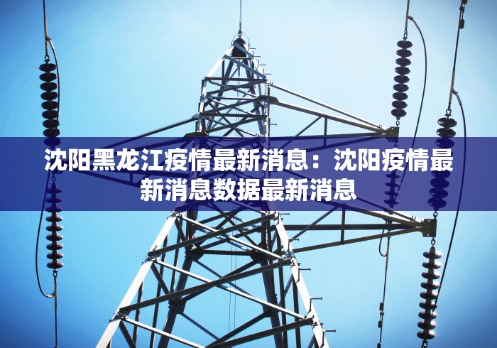 沈阳黑龙江疫情最新消息：沈阳疫情最新消息数据最新消息
