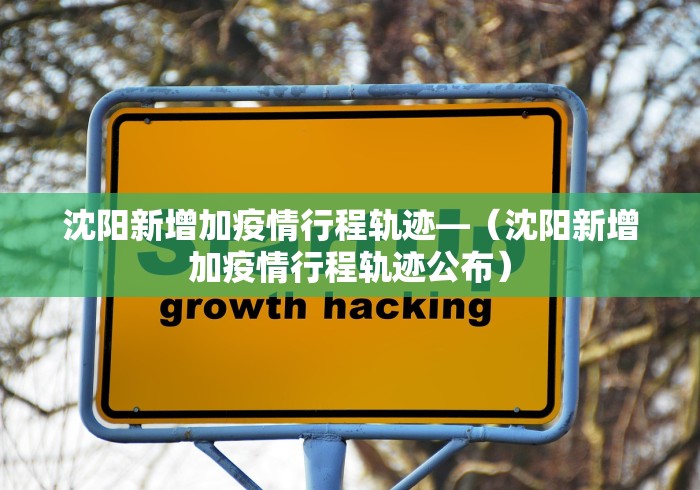 沈阳新增加疫情行程轨迹—（沈阳新增加疫情行程轨迹公布）