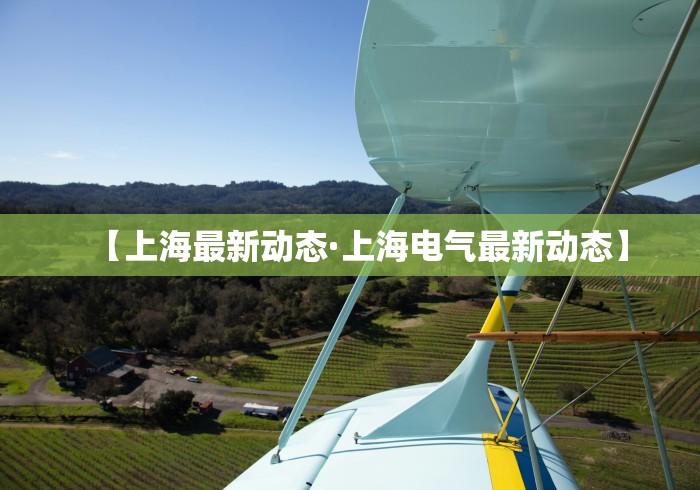 【上海最新动态·上海电气最新动态】