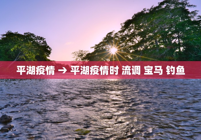 平湖疫情 → 平湖疫情时 流调 宝马 钓鱼