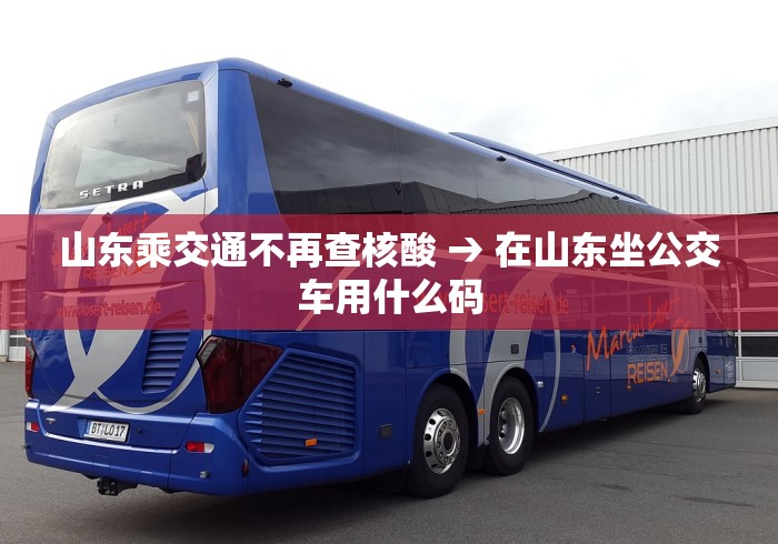 山东乘交通不再查核酸 → 在山东坐公交车用什么码