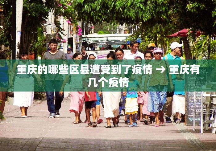 重庆的哪些区县遭受到了疫情 → 重庆有几个疫情