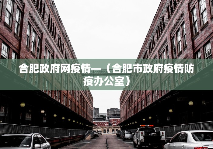 合肥政府网疫情—（合肥市政府疫情防疫办公室）