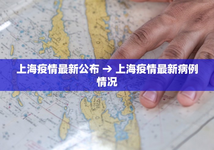 上海疫情最新公布 → 上海疫情最新病例情况