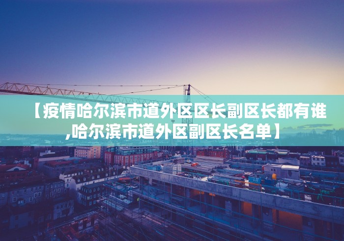 【疫情哈尔滨市道外区区长副区长都有谁,哈尔滨市道外区副区长名单】