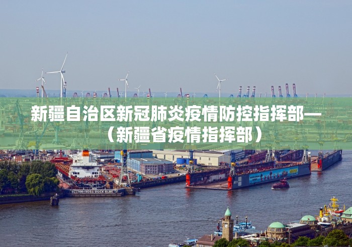 新疆自治区新冠肺炎疫情防控指挥部—（新疆省疫情指挥部）
