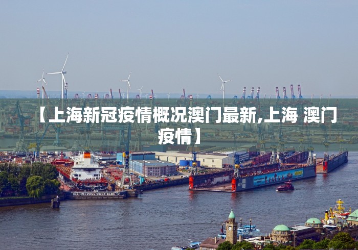 【上海新冠疫情概况澳门最新,上海 澳门疫情】