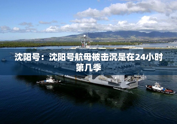 沈阳号：沈阳号航母被击沉是在24小时第几季