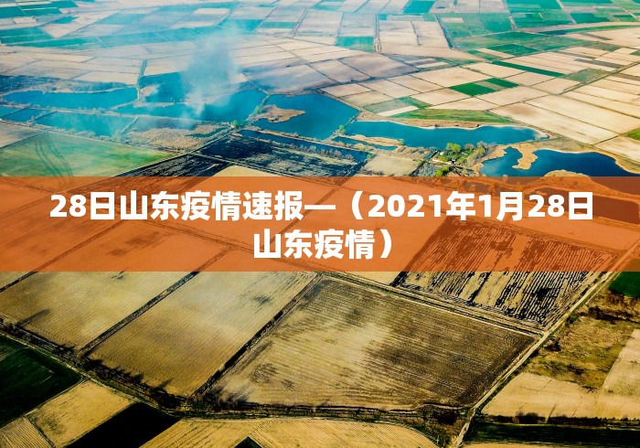 28日山东疫情速报—（2021年1月28日山东疫情）