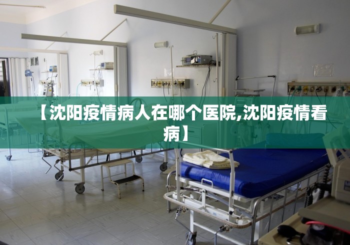 【沈阳疫情病人在哪个医院,沈阳疫情看病】