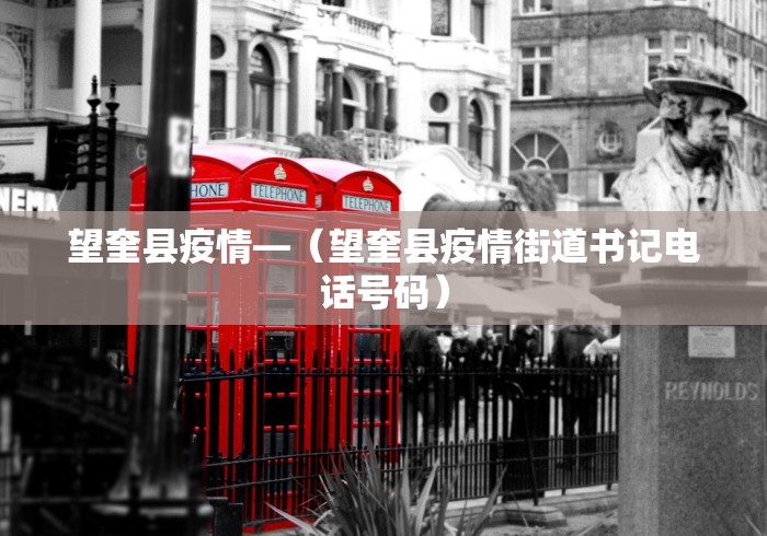 望奎县疫情—（望奎县疫情街道书记电话号码）