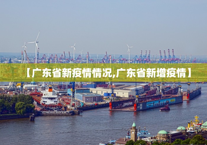 【广东省新疫情情况,广东省新增疫情】