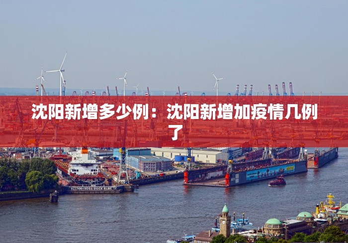 沈阳新增多少例:沈阳新增加疫情几例了 沈阳新增多少例:沈阳新增加疫情几例了