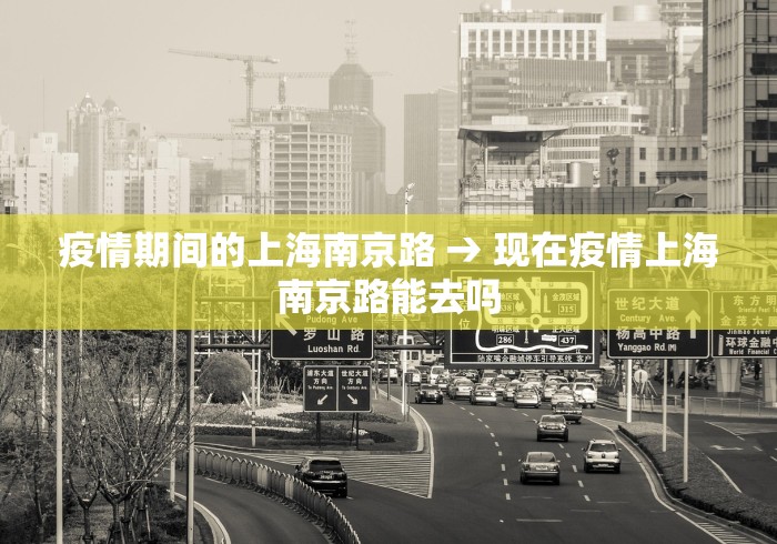 疫情期间的上海南京路 → 现在疫情上海南京路能去吗