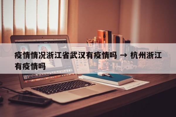 疫情情况浙江省武汉有疫情吗 → 杭州浙江有疫情吗