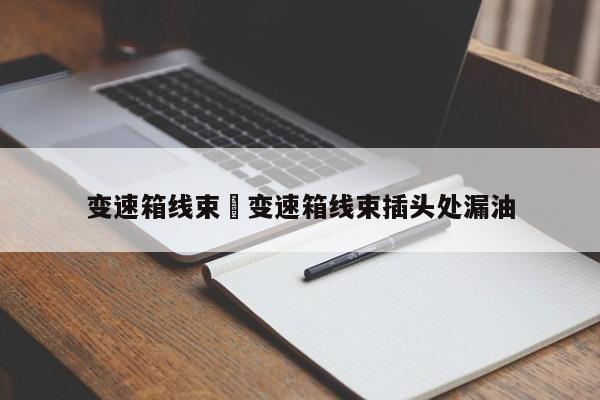 变速箱线束›变速箱线束插头处漏油