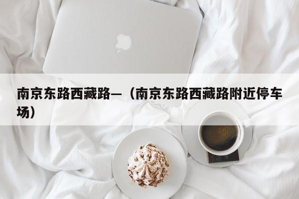 南京东路西藏路—(南京东路西藏路附近停车场)